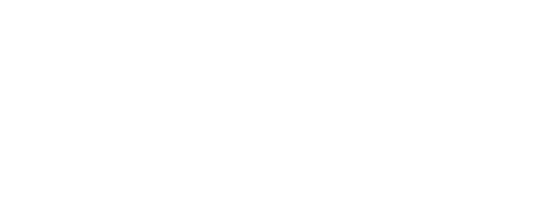 Logo for Energy Flows - white version with clear background